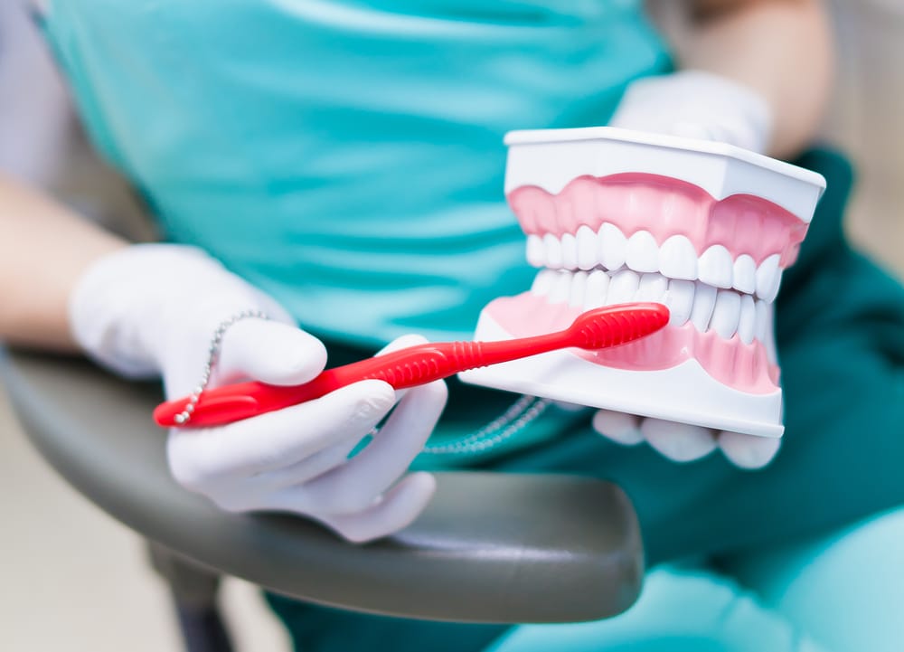 Demonstrating Denture Cleaning with Model and Brush – Dentures Dental professional in scrubs holding a jaw model and using a red toothbrush to demonstrate proper cleaning technique – Dentures